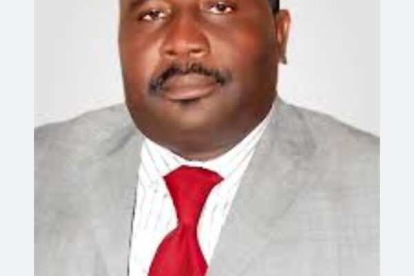 Bridges Over Barricades: Building a Pathway to Unity and Progress in Nigeria